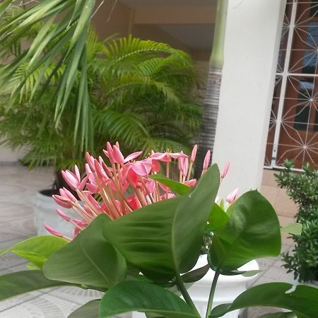 Each Hostel Da Amazonia Манаус Экстерьер фото