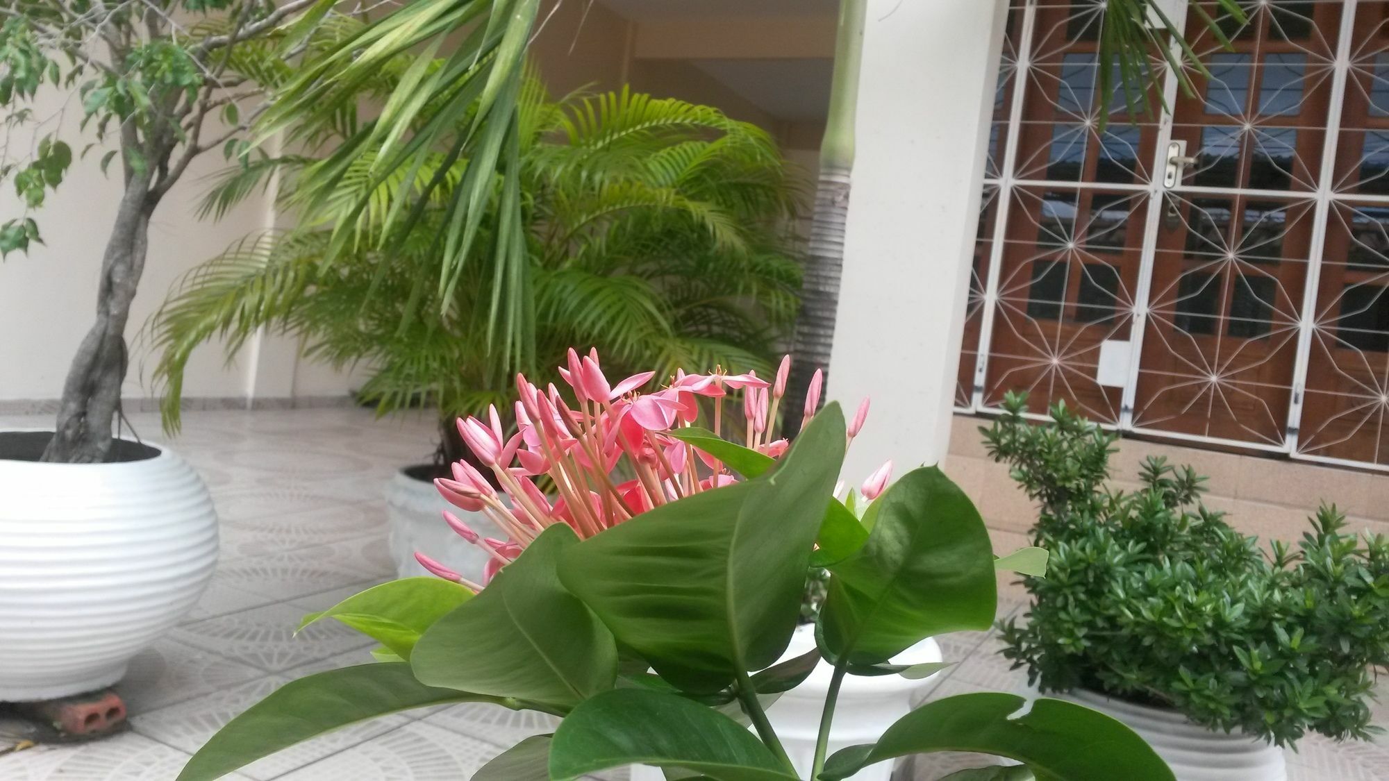 Each Hostel Da Amazonia Манаус Экстерьер фото